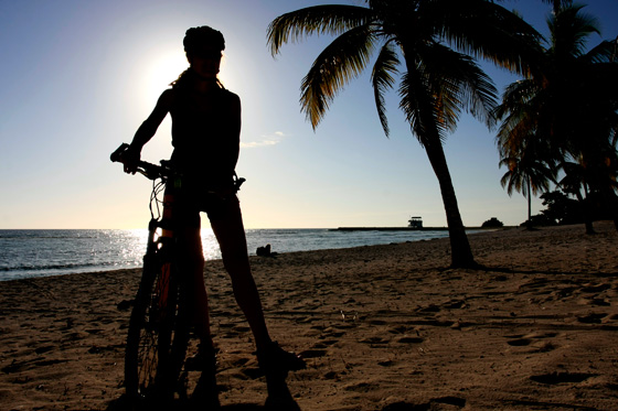 Tengerparti_kep__foto_Szanyi_Gergo