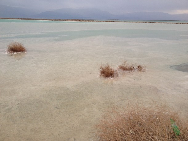 A Holt-tenger élővilágának sivársága már-már lenyűgöző - és elképesztő, hogy 400 méterrel vagyunk a tengerszint alatt