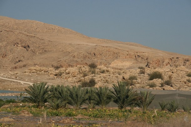 Kopár táj a Holt-tenger partján