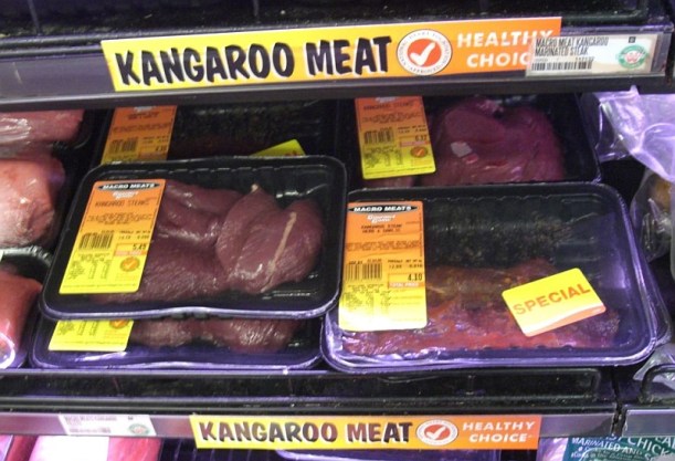 A kenguruhús egészséges választás - A kenguru húsa zsírszegény. A kengurukolbász (helyi neve kanga bangasz) Ausztráliában hozzáférhető. (wiki)