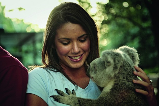 Te is koalára cserélheted a caolát