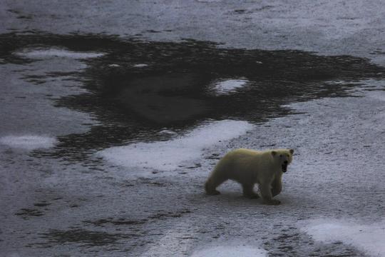 4c296ad3fe80022e6b06c30316378bc7